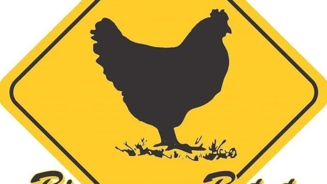 IGDownloader.App_127080486_1023436821472732_1638638376762480428_n