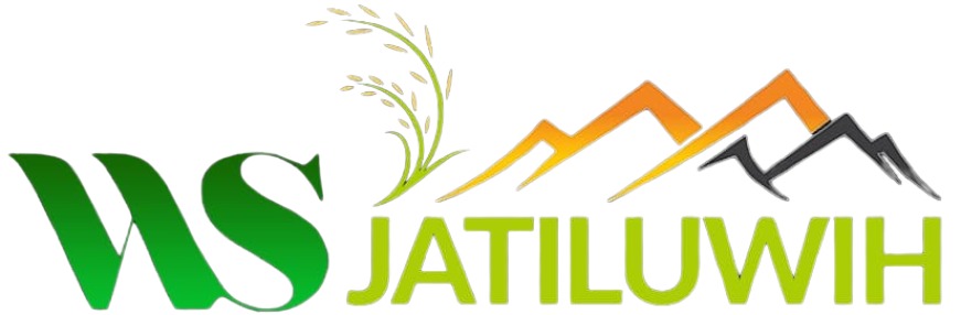 WhatsApp-Image-2024-05-20-at-23.37.20-removebg-preview