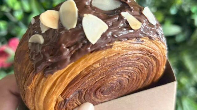 ClipDown.App_438043411_1121093775886965_4366212937897180025_n