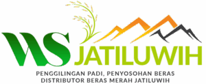 cropped-WS-Jatiluwih