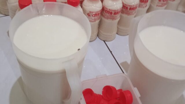 WhatsApp Image 2025-11-21 at 09.47.36