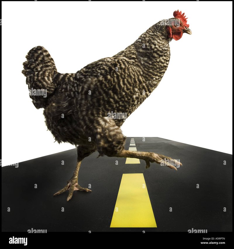 Best chicken road demo in Netherlands